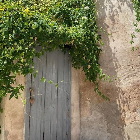 Le Chai Des Tuileries Montagnac  Dış mekan fotoğraf