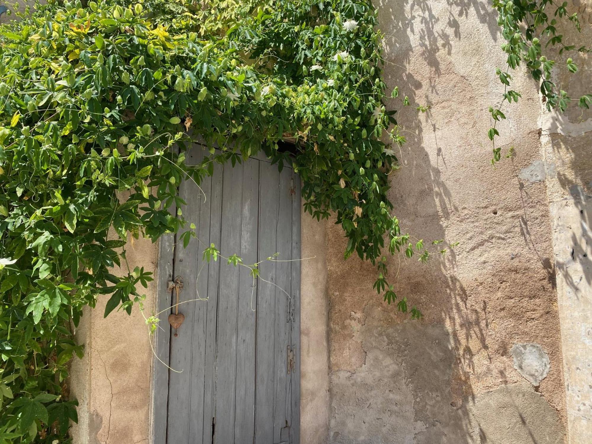 Le Chai Des Tuileries Montagnac  Dış mekan fotoğraf